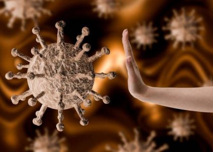 6. World mortality statistics