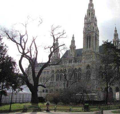 45. Demonstration in Wien vor dem Rathaus