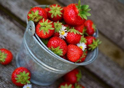 46. Premier Bawarii wiedział o pandemii korony w maju 2019?