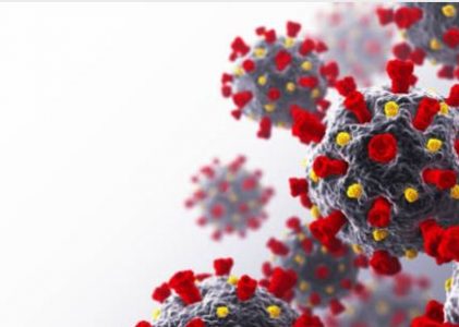 30. Sterblichkeitsstatistik in Deutschland