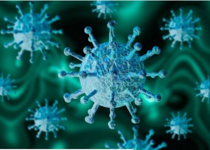 24. Korona – fałszywy alarm