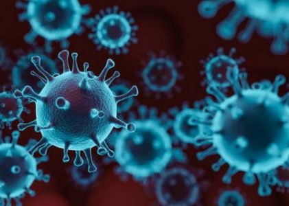 26. Who writes fake news?