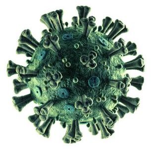 32. Berlin am 29.8.2020