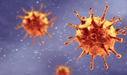 19. How reliable are the PCR tests?