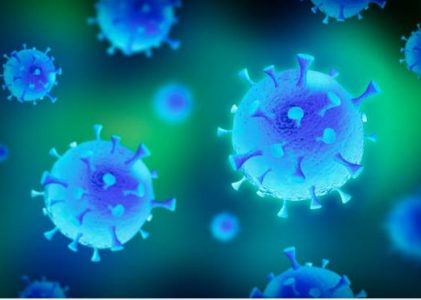 14. Skąd we Włoszech tyle ofiar?