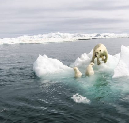 88. Kolejne globalne kłamstwo