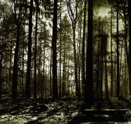 132. Iluzja pełnej kontroli