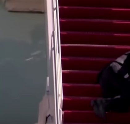 206. Kto jest naprawdę chory?