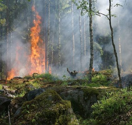 268. Playing with fire