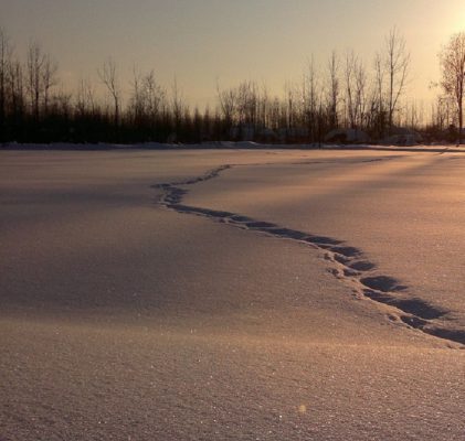 277. How else can they scare us?