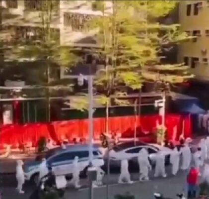 303. Schöne Neue Welt