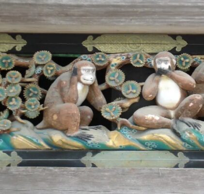 331. Gain of function