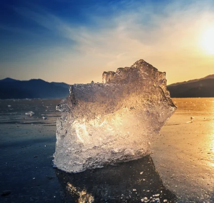 344. Das Klima der Lüge