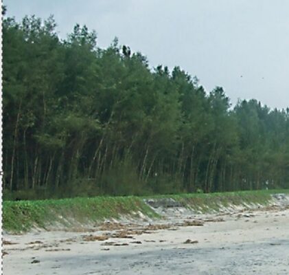 425. Das Klima-Narrativ bricht zusammen