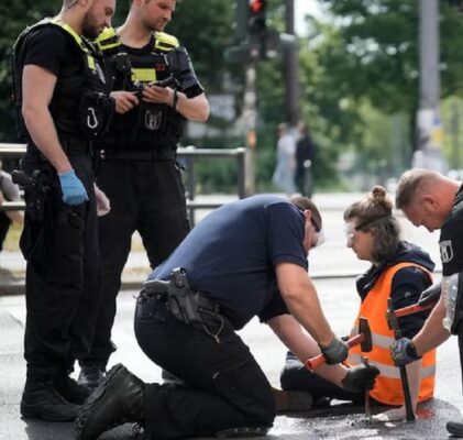 481. Last generation