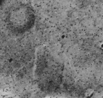 552. Space fairy tale