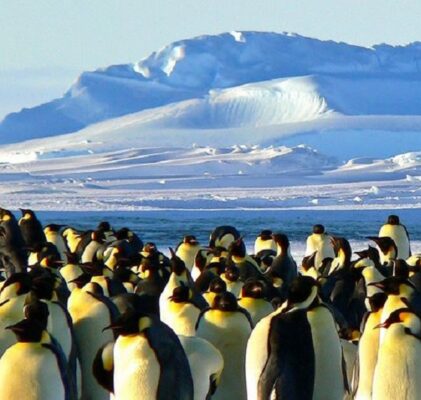 594. Globalne ochłodzenie