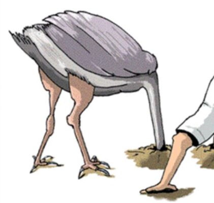 595. Schowaj głowę w piasek