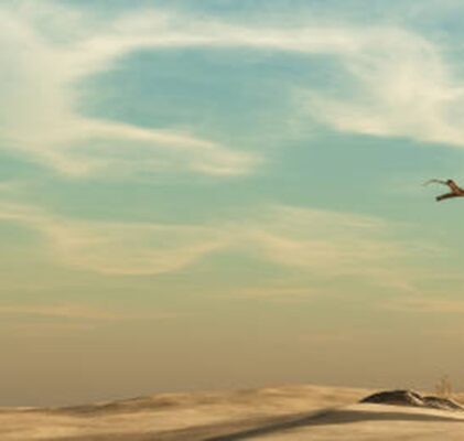 625. Koniec kolejnego, zwariowanego roku