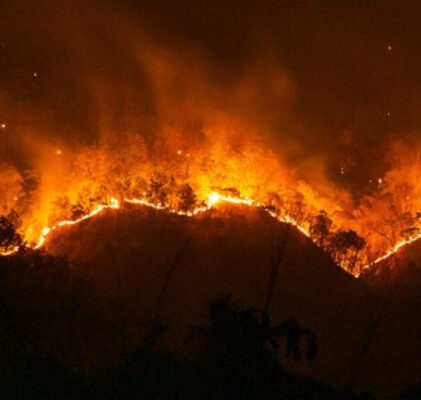 688. Energia pożaru