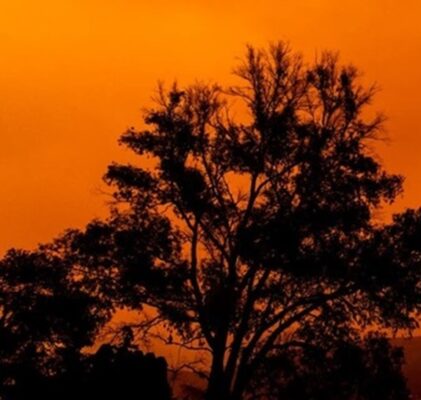 755. Zabójcze powietrze