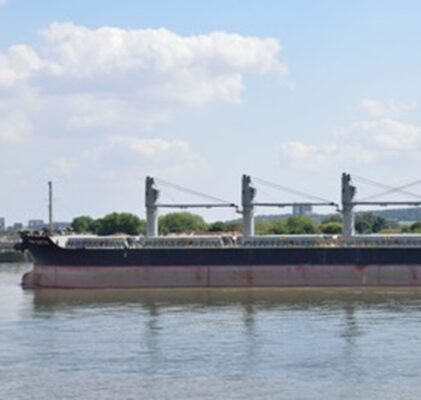 734. Plandemische Propaganda