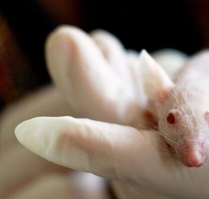 782. Pandemie-Industrie