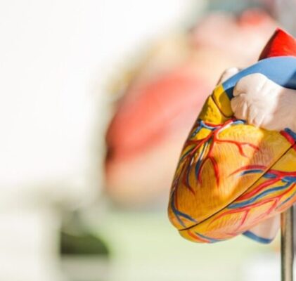 781. Entvölkerungsmethoden