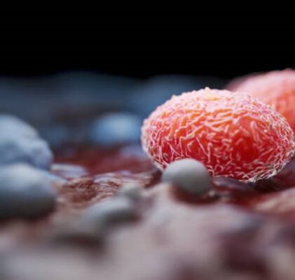 785. Unwissenschaftliche „Wissenschaft“