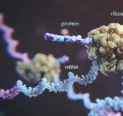 874. Verbot der mRNA-Impfung in den USA