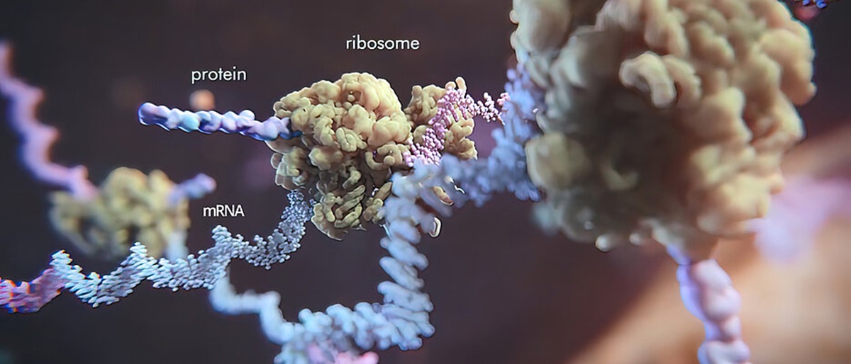 867. Ban on mRNA vaccination in the USA