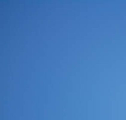 911. Big Brother is watching