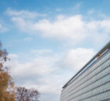 993. Scharfe Kritik an IHR-Regeln