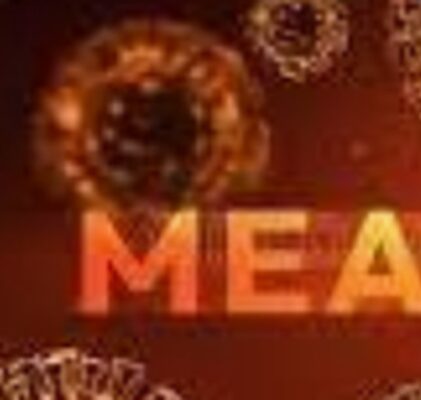 992. Eine gescheiterte Pandemie