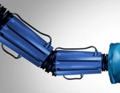 989. The White House attacks