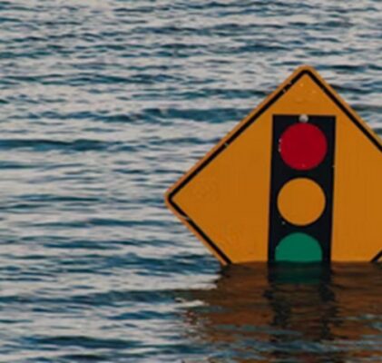 1007. Wer hat uns den Sommer gestohlen?