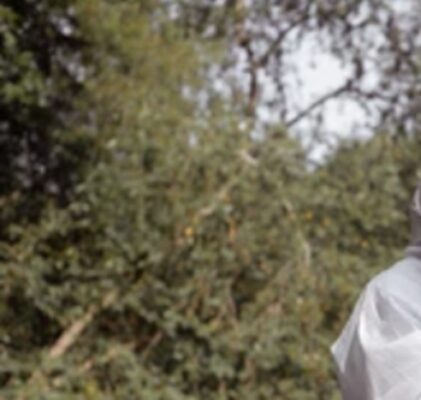 1043. Hipoteza szkód hybrydowych