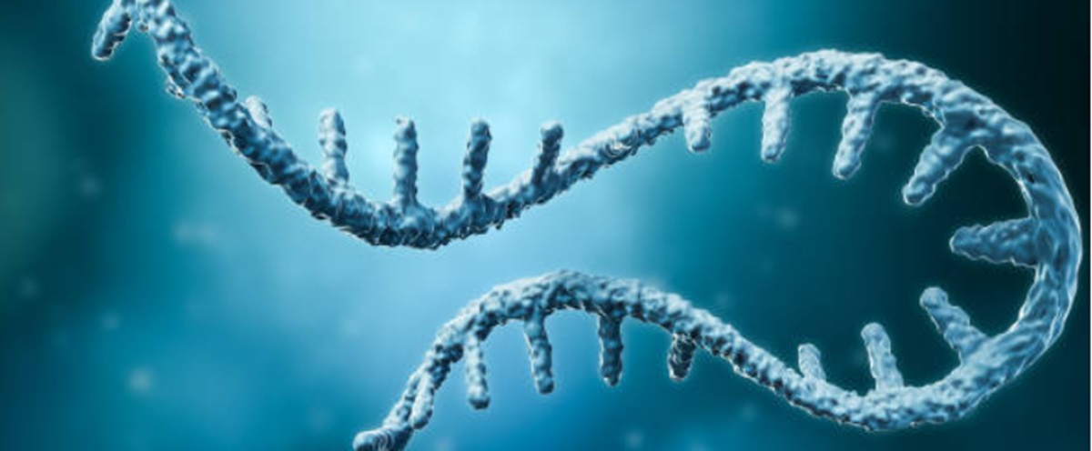1036. Wyrok na szczepionki mRNA
