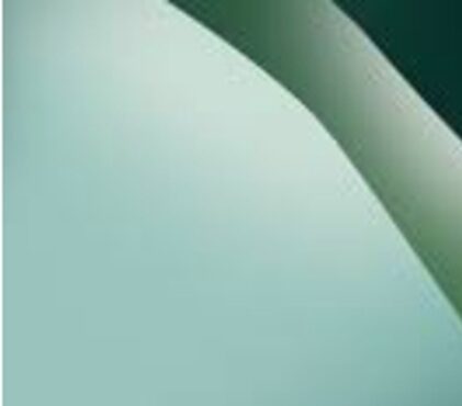 1054. Der Bankrott des grünen Albtraums