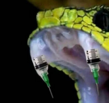 1039. “Safe” vaccines