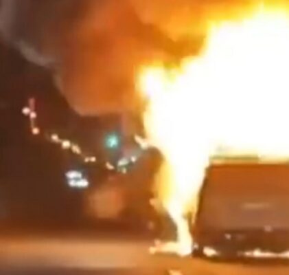 1077. Elektrische Fallen