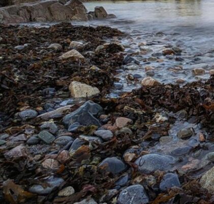 1085. Herrscher der Welt