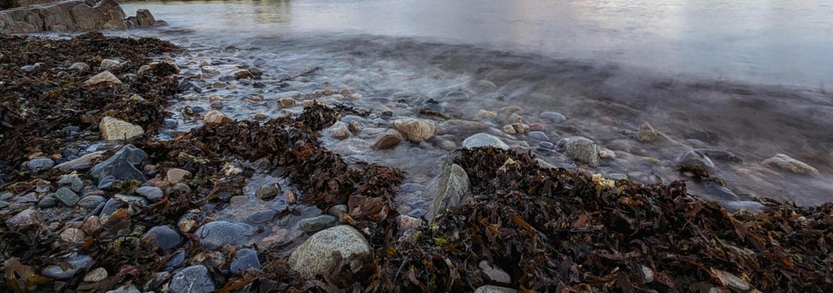 1085. Herrscher der Welt