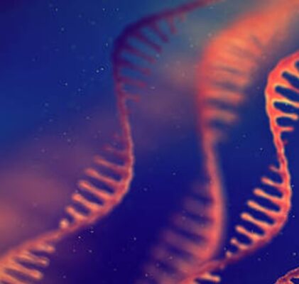 1124. Eine neue Investition eines Philanthropen