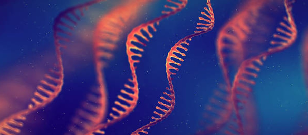 1117. A new investment by a philanthropist