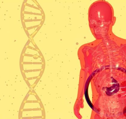 1152. Wie plant man einen Völkermord?