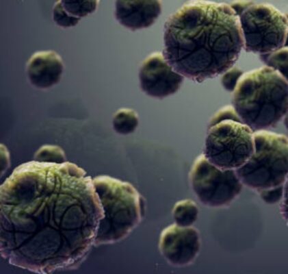 1159. Krebsauslöser