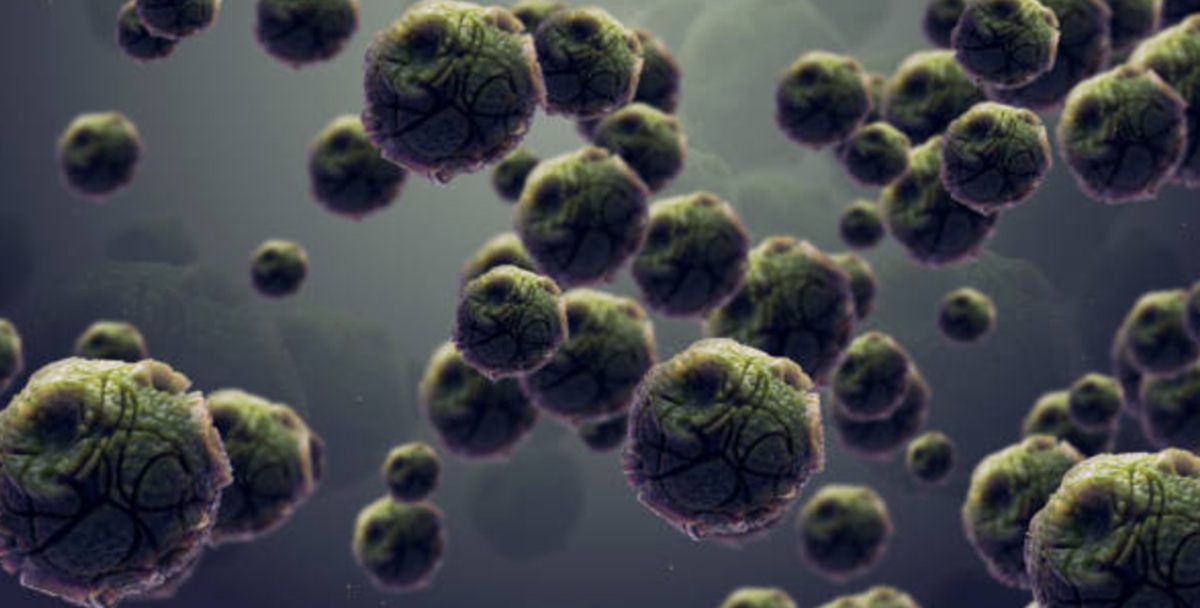 1152. Cancer stimulators