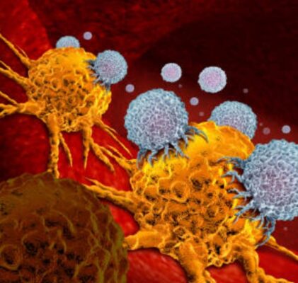 1172. Wir sollten davon nichts wissen