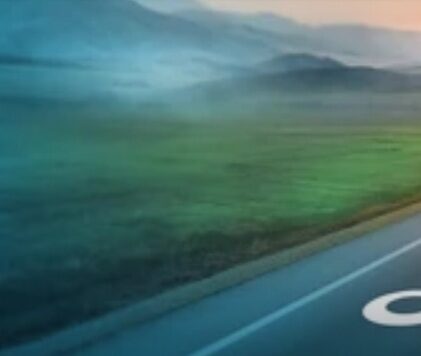 1171. Das „Leben“ nach dem Leben – aber welches?